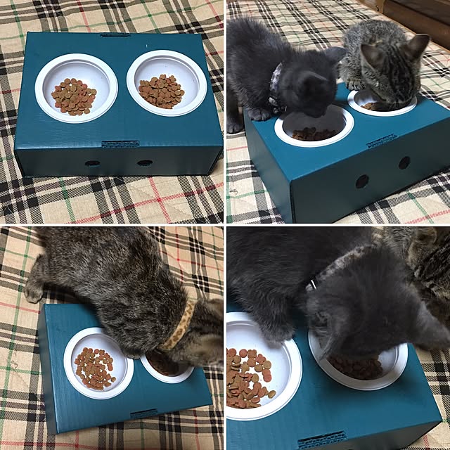kmakkyiさんの実例写真