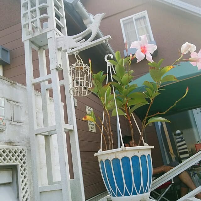 miya-1020さんの実例写真