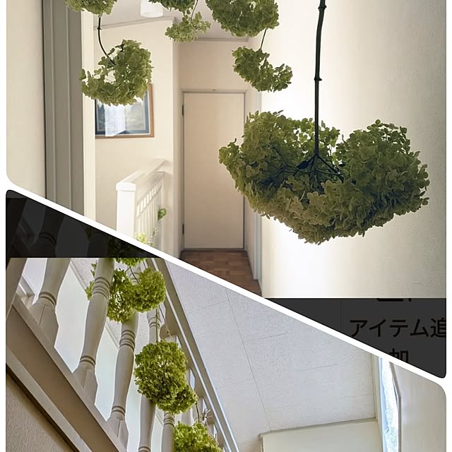 Renさんの部屋