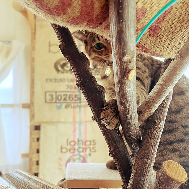 Mさんの部屋