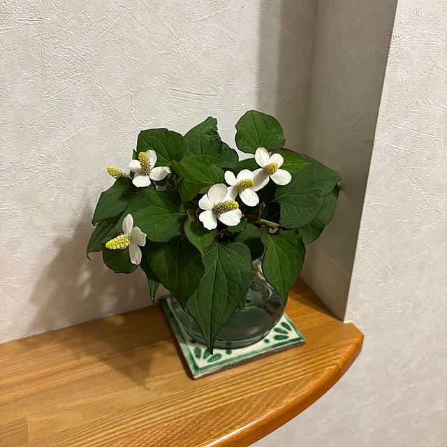 teraさんの部屋