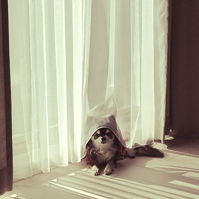 Niihoさんの実例写真