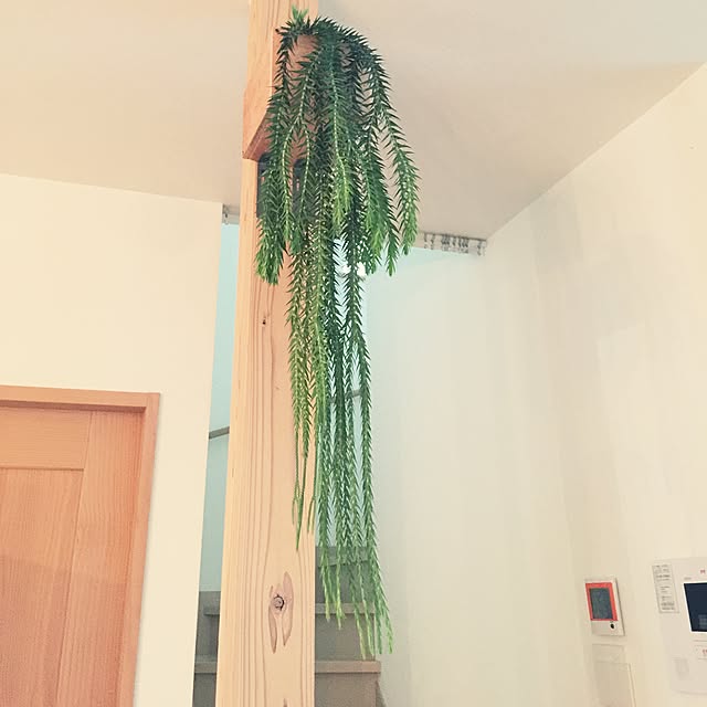 marley0209さんの実例写真