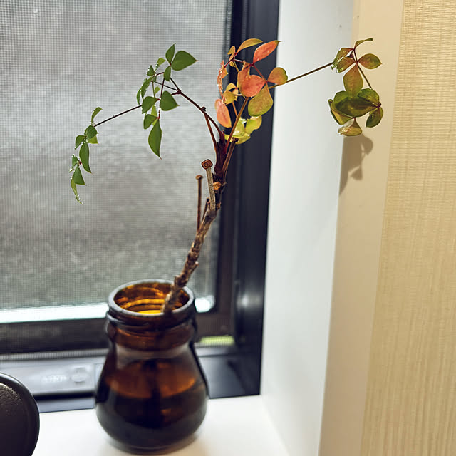 nachiさんの実例写真