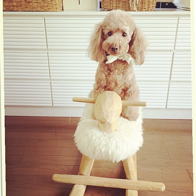 tammyさんの実例写真