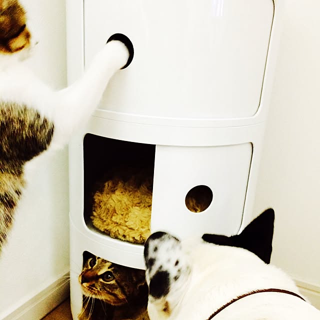 IGGYさんの実例写真