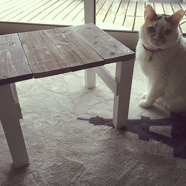odekoさんの実例写真