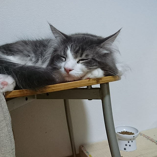 shinobuさんの実例写真