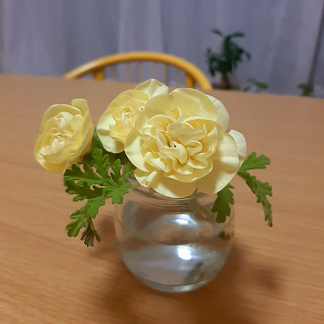 Shizukuさんの実例写真
