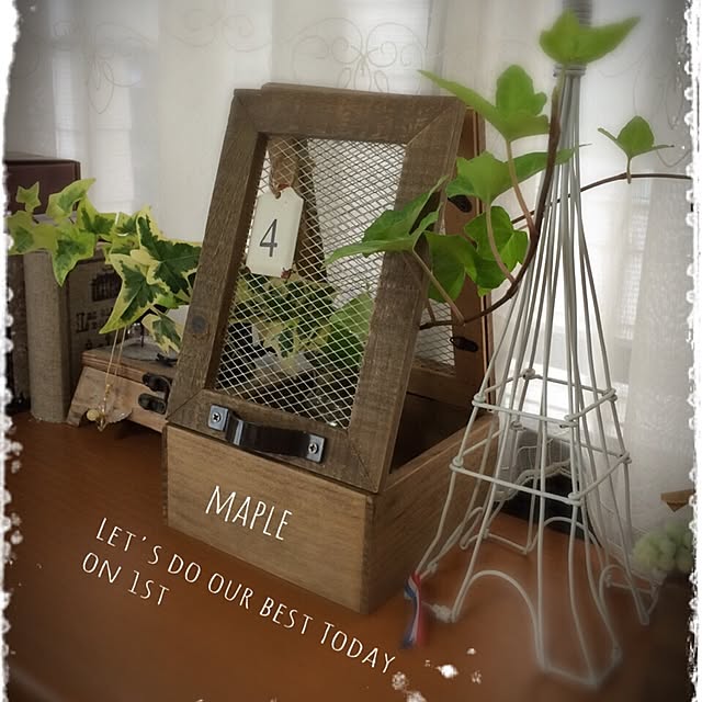 mapleさんの実例写真
