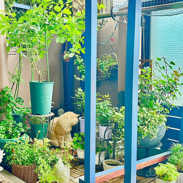 naokoさんの部屋