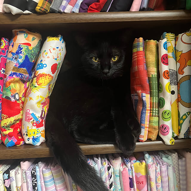AMEIROさんの部屋