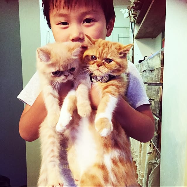 anmituさんの実例写真