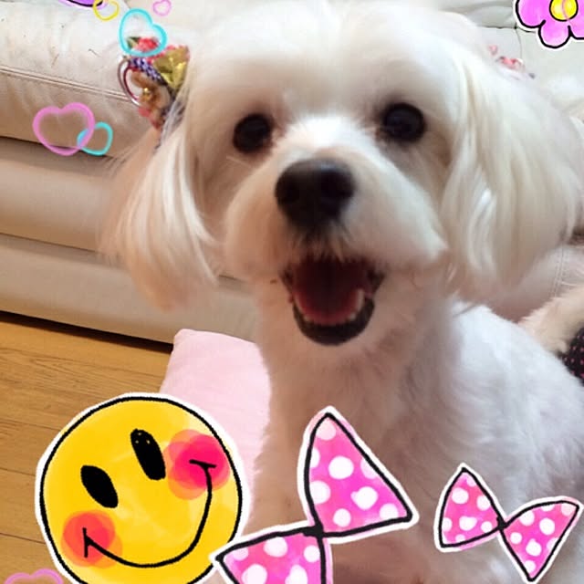 mariaさんの実例写真