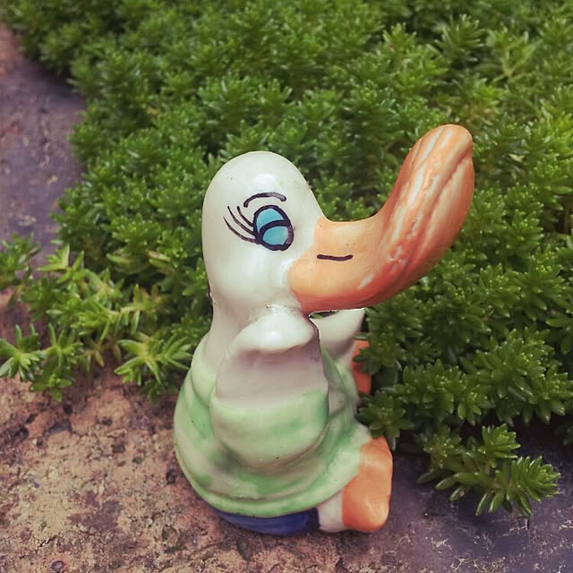 0e0さんの実例写真