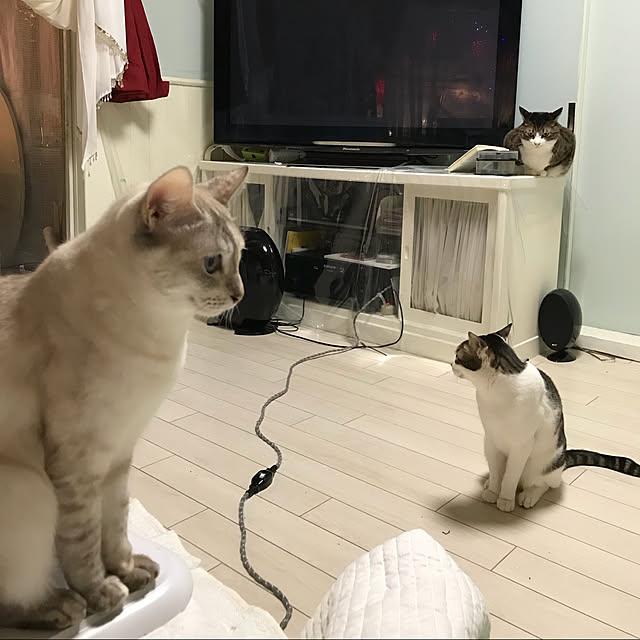 merisannさんの実例写真