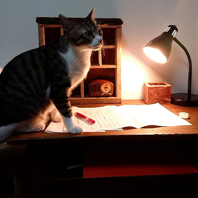 karinさんの実例写真