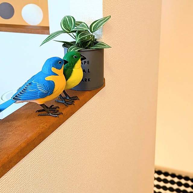 megurinさんの実例写真