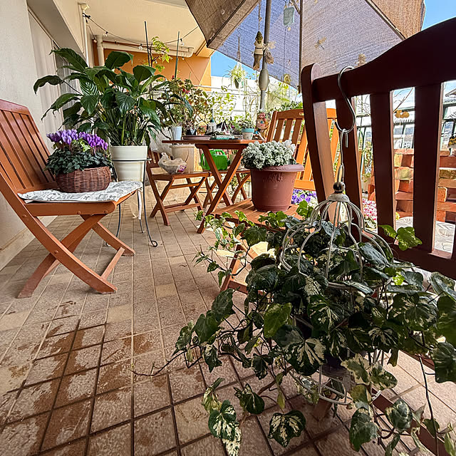 Aqettyさんの部屋