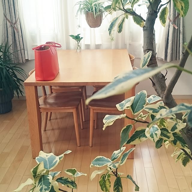 nao525さんの実例写真