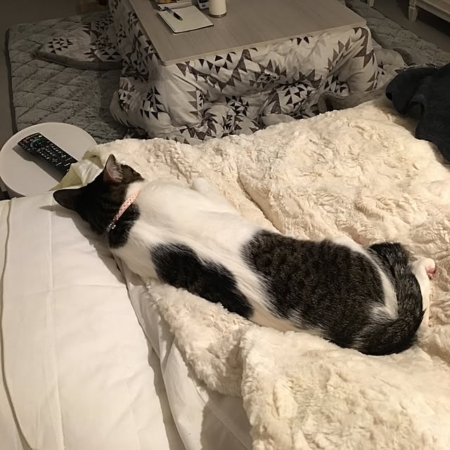Shihoさんの実例写真