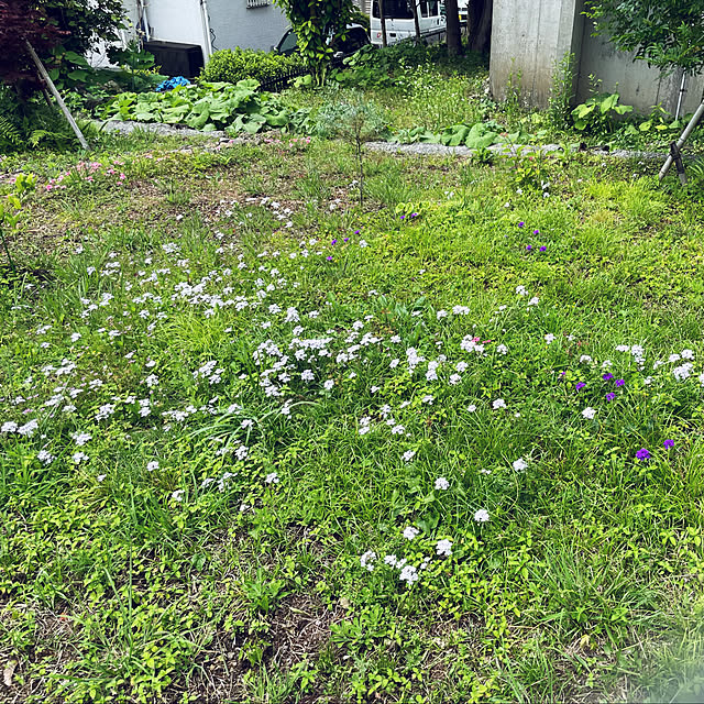 kabu10さんの部屋