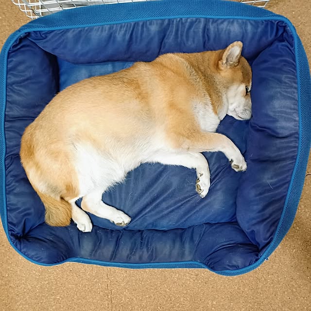 nanaさんの部屋