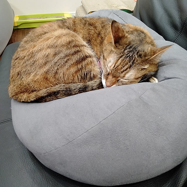 sorakoさんの実例写真