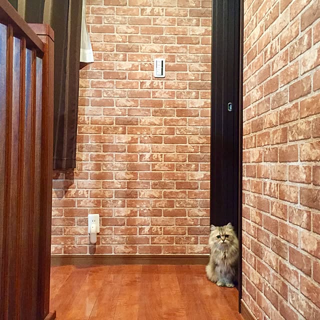 butachanさんの実例写真