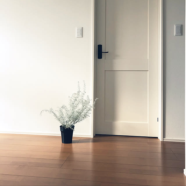 mint_homeさんの実例写真