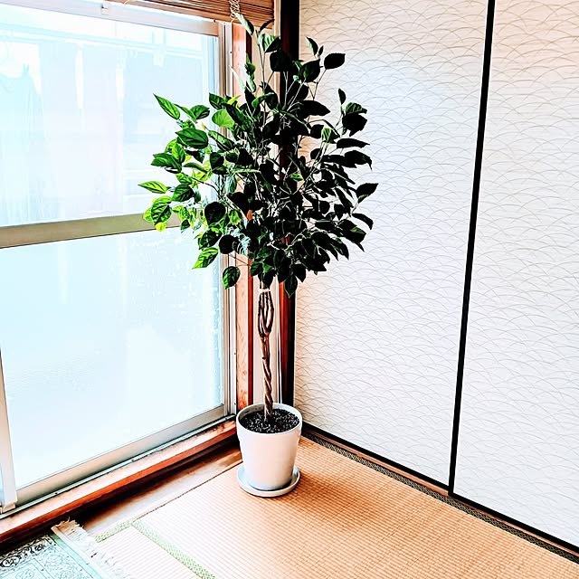 hanachanさんの部屋