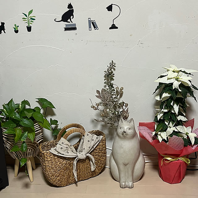 Toyomiさんの部屋