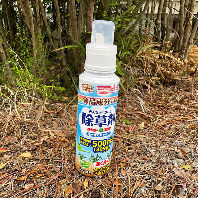 burubonさんの実例写真