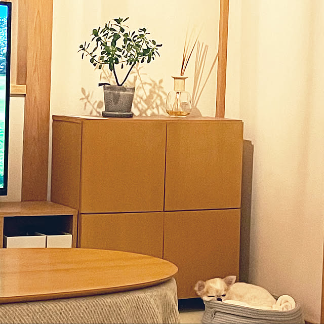 haritakaさんの実例写真