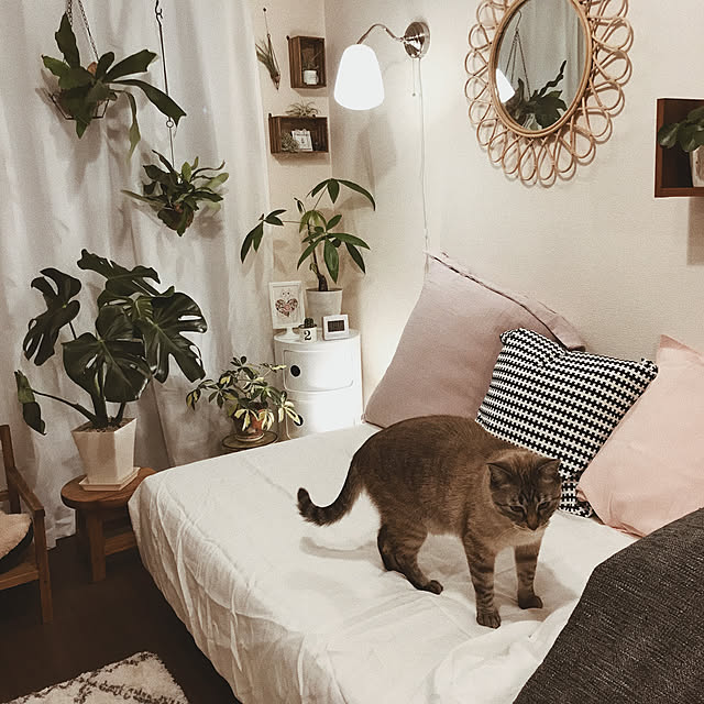 ineko_kさんの実例写真