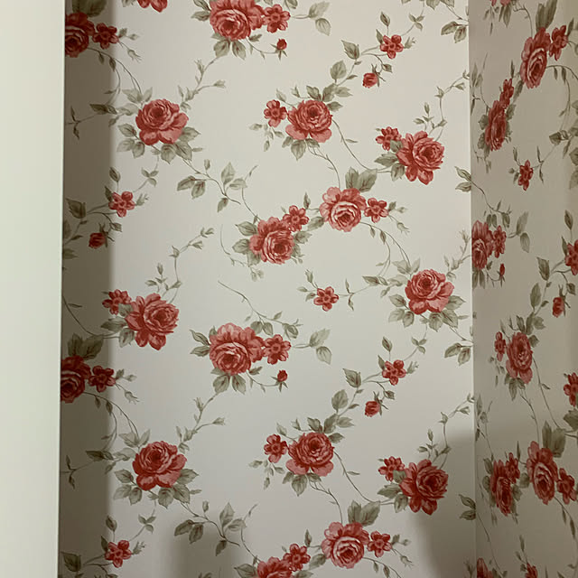 Nanaさんの実例写真