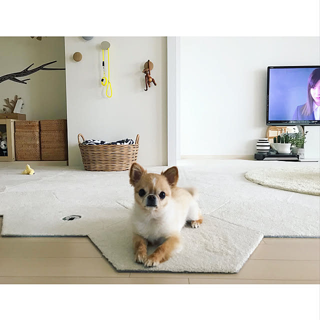 haruhinaさんの実例写真