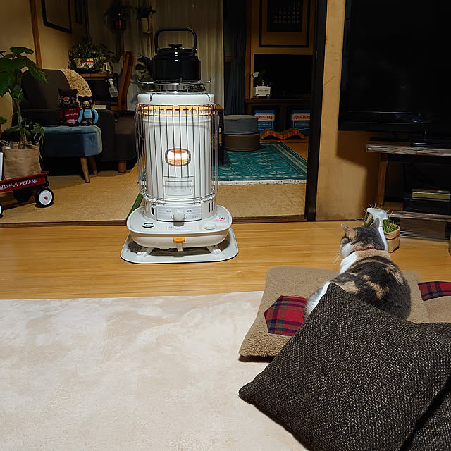 fukuさんの実例写真