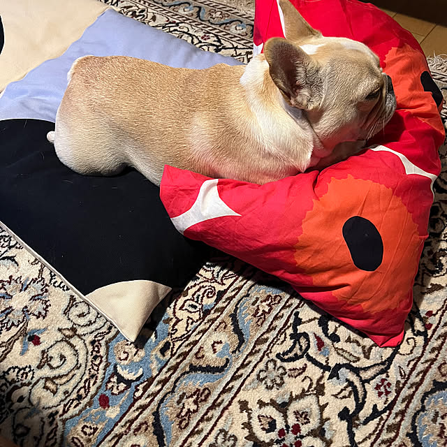 Inarichinさんの部屋