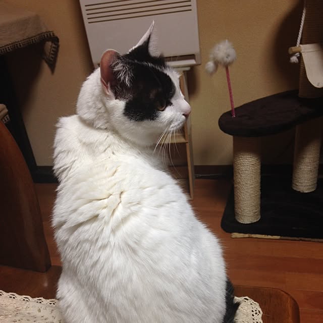 yukieさんの実例写真