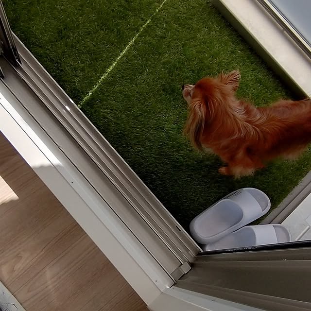 toratanさんの実例写真