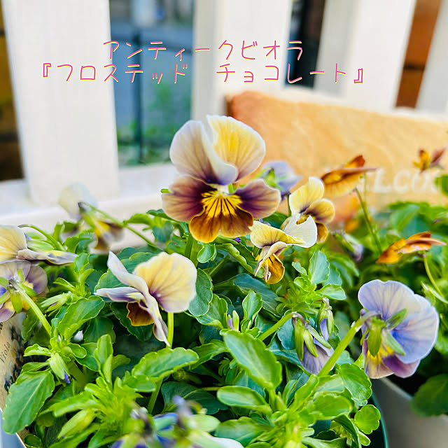 sunabaさんの部屋