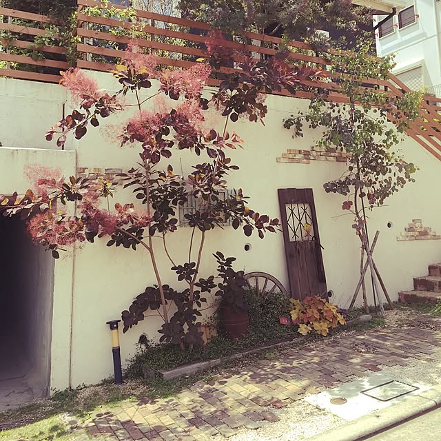 Misuzuさんの実例写真