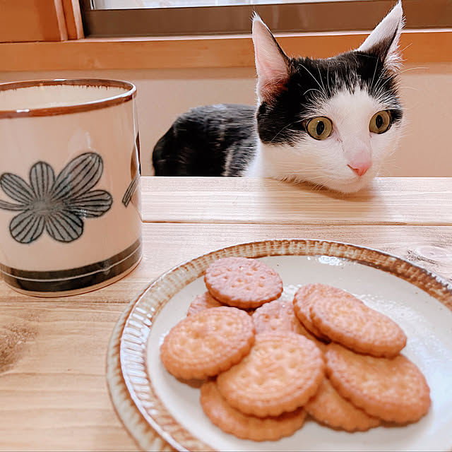 harukaさんの実例写真