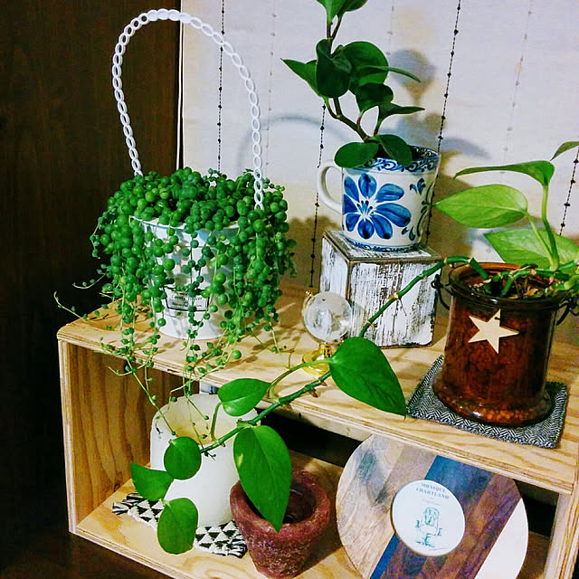 mikkiさんの実例写真