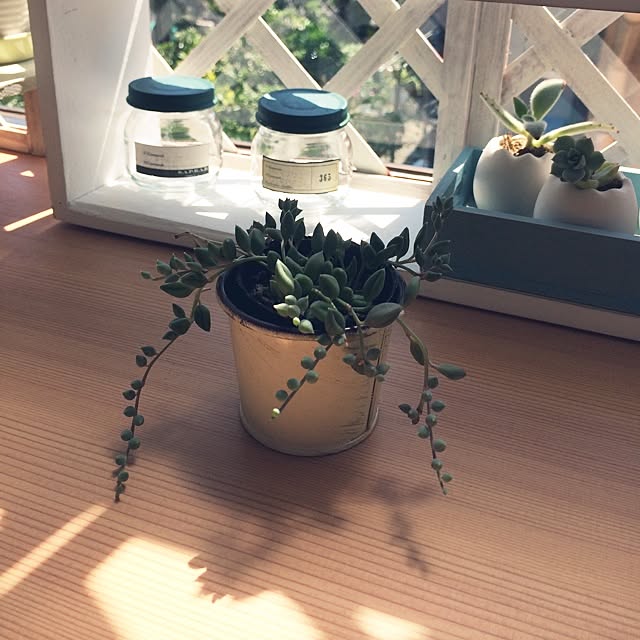 rupunさんの実例写真