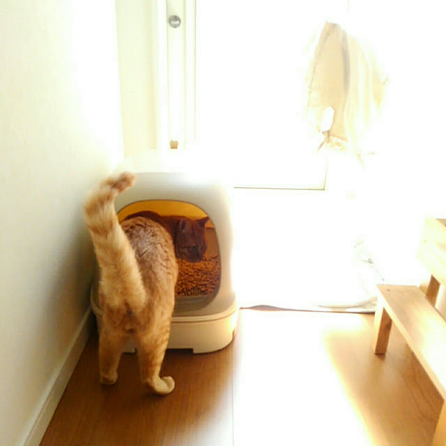 mayutan.さんの実例写真