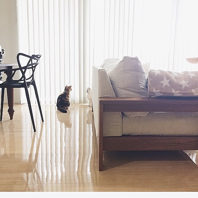 yuki.さんの実例写真