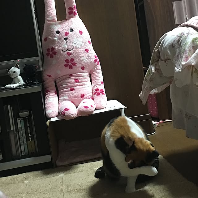nonさんの実例写真