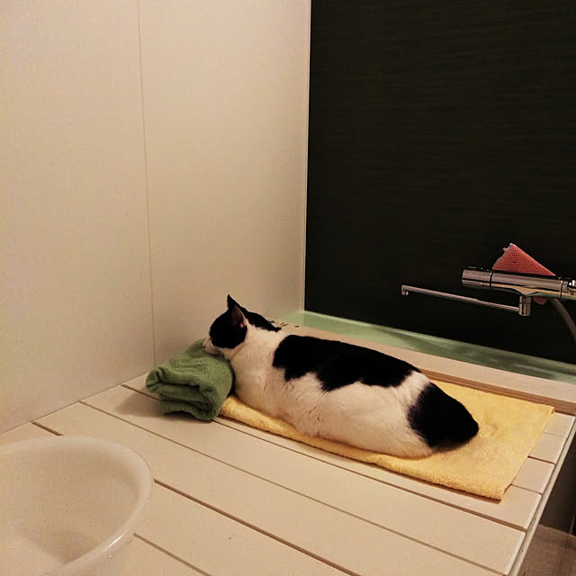 futukoさんの実例写真